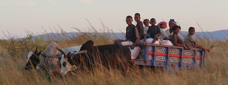 In Madagascar ora si lotta contro la Peste  Polmonare